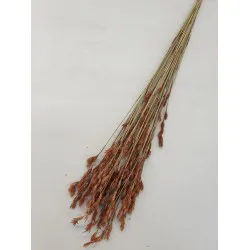 Thatch reed naturel +/-75gr