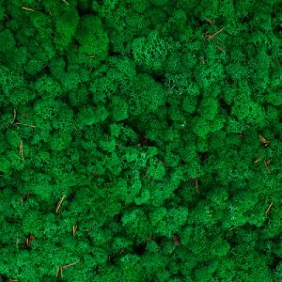 Icelandic moss grass green 5kg