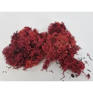 Ijslands mos bordeaux groot +/-400gr