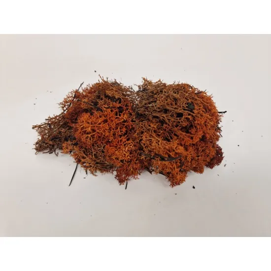 Icelandic moss brown big +/-400gr