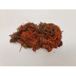 Icelandic moss brown medium +/-200gr