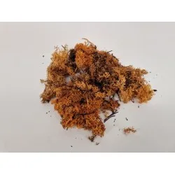 Icelandic moss cognac +/-50gr