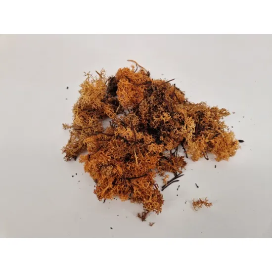 Mousse dislande cognac +/-50gr