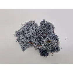 Icelandic moss preserved grey +/-450gr