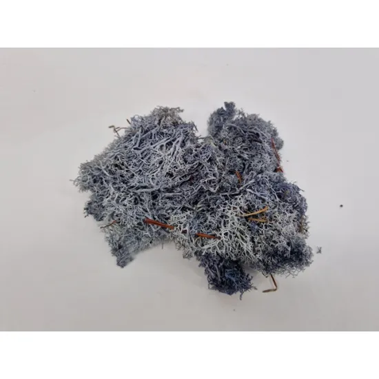 Icelandic moss preserved grey +/-450gr