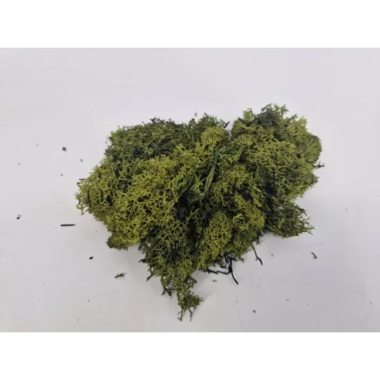 Ijslands mos geconserveerd mosgroen +/-450gr