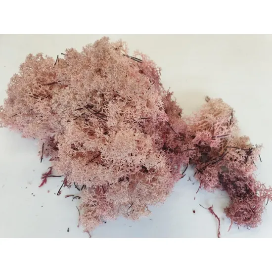 Icelandic moss preserved powder pink +/-450gr