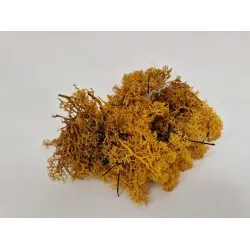 Icelandic moss yellow big +/-400gr