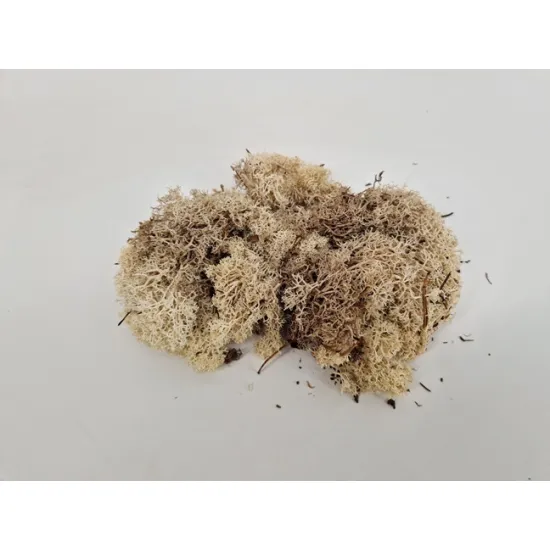 Ijslands mos naturel +/-50gr