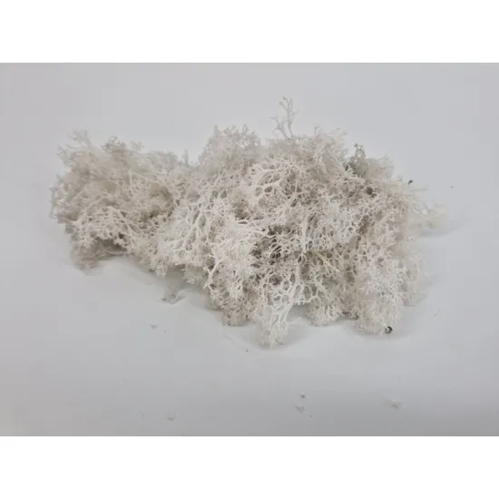 Icelandic moss moss white +/-400gr