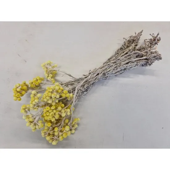 Immortelle naturel geel +/-30cm