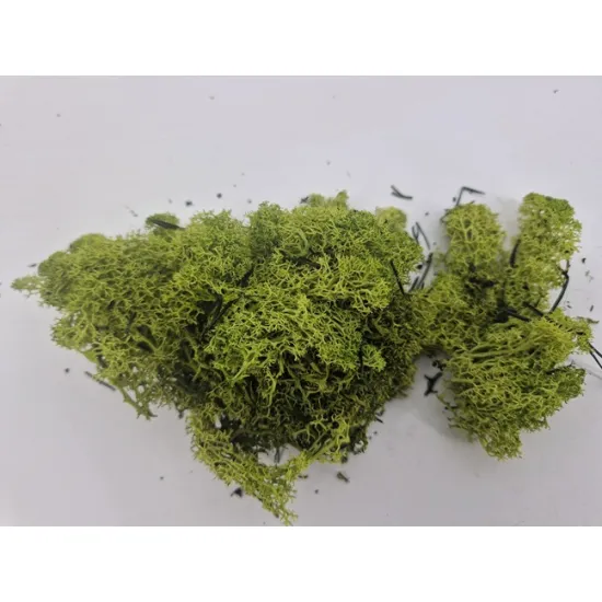 Ijslands mos geconserveerd appelgroen+/-10kg