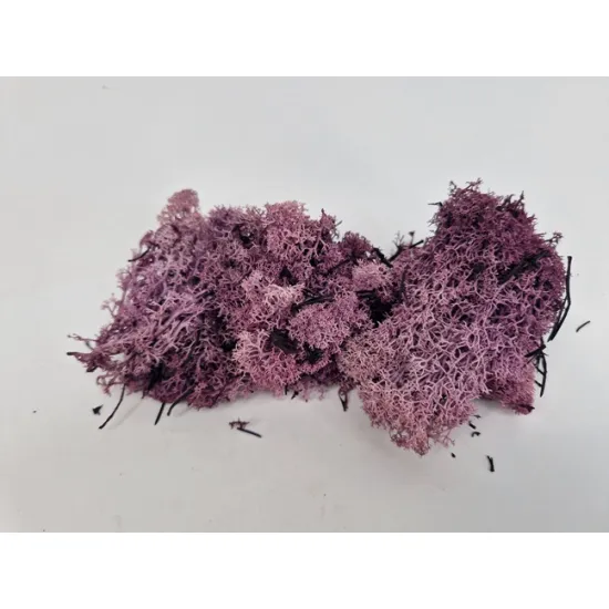 Ijslands mos geconserveerd aubergine +/-10kg