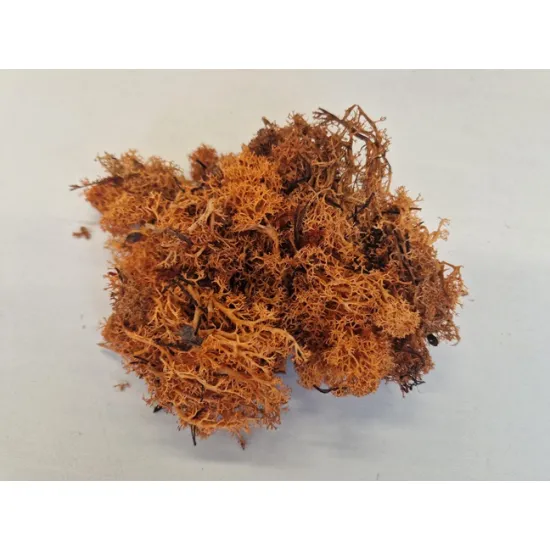 Ijslands mos geconserveerd cognac +/-10kg