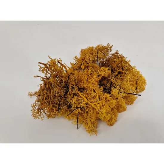Icelandic moss preserved yellow +/-10kg