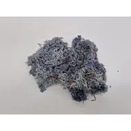 Mousse d'islande stabilisee gris +/-10kg