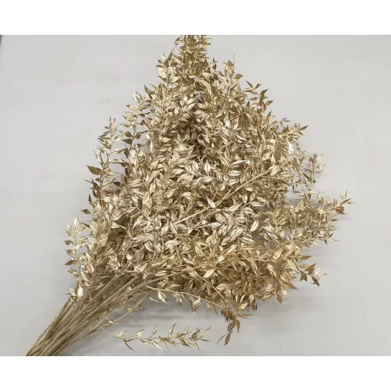 Ruscus gold +/-100gr