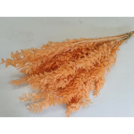 Ruscus melone +/-200gr