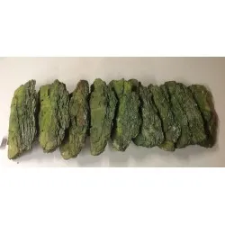 Boat maritima 50cm frosted green