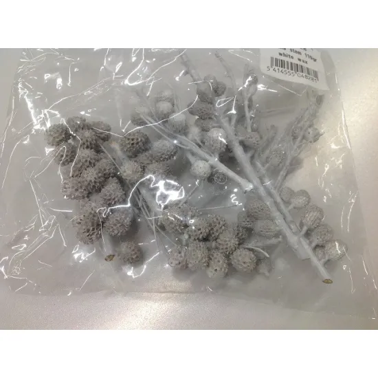 Casurina op tak white wax 110gr