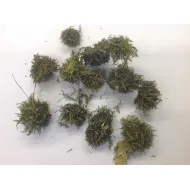 Curly cone apple green +/-300gr