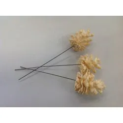 Austriaca blanchi sur tige 20pcs