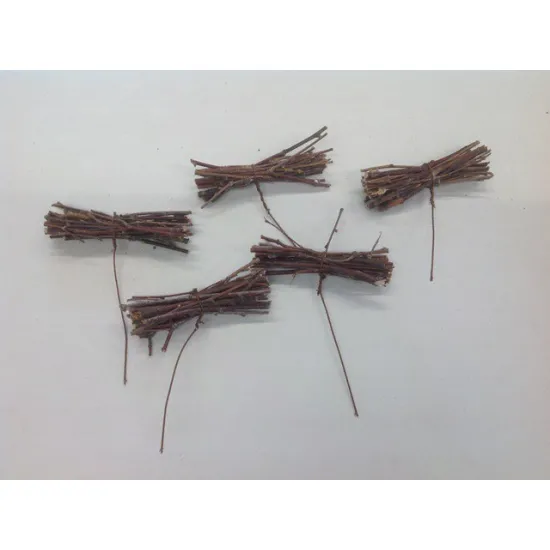Bundle birch twigs natural on wire 20pcs