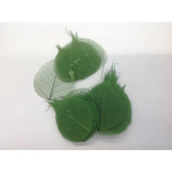 Skeletblad appelgroen (donker) 100st