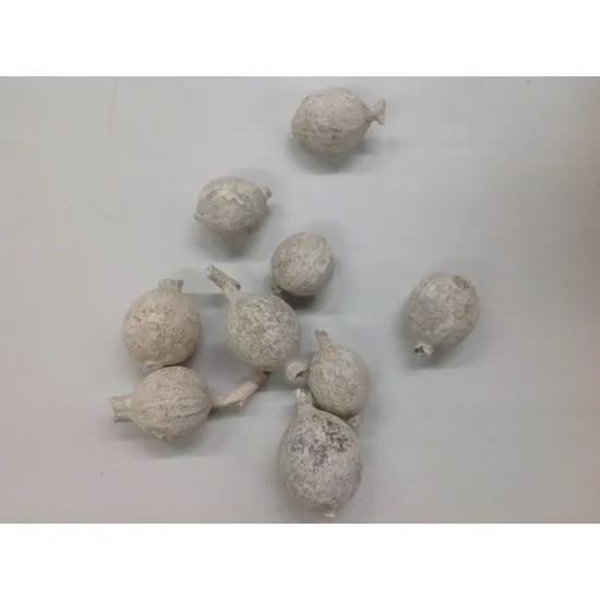 Gori fruit white wash +/-1kg