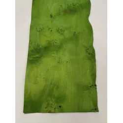 Veneer wood (wood panels) olive green