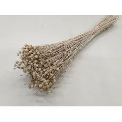 Linum (vlas) white wash +/-100gr