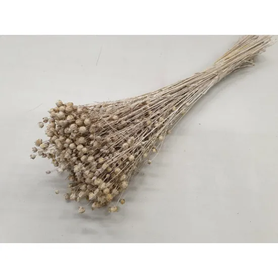 Linum (vlas) white wash +/-100gr
