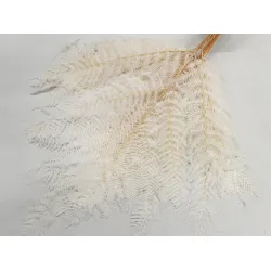 Bracken bleached 10pcs