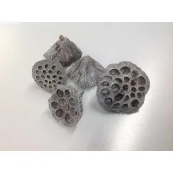 Lotus medium white wash 50pcs