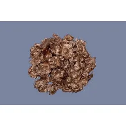 Palbosa cuivre +/-500gr