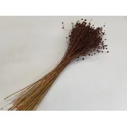 Linum (vlas) bruin +/-100gr