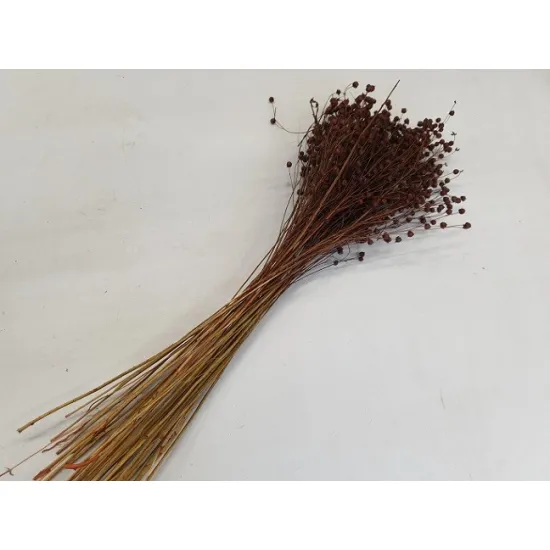 Linum (vlas) bruin +/-100gr