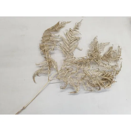 Bracken gold 10pcs