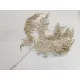 Bracken gold 10pcs