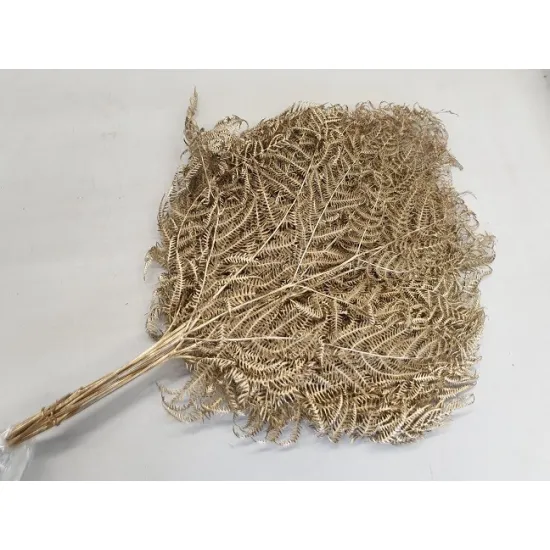 Bracken gold 10pcs