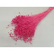 Lin fuchsia +/-100gr