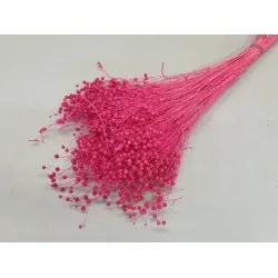 Linum (vlas) fuchsia +/-100gr