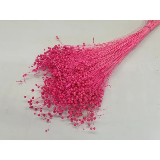 Linum (flax) fuchsia +/-100gr
