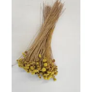 Botao branco jaune +/-100gr