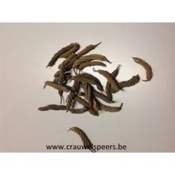 Screw pods naturel +/-1kg