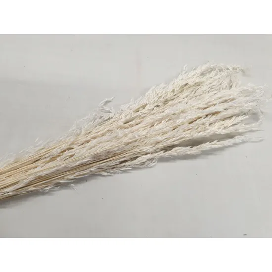 Ampelodesma gebleekt +/-200gr
