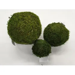 Sphere green moss preserved 10cm