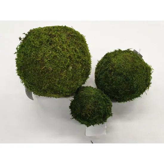 Bol groen mos geconserveerd 10cm