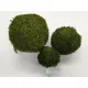 Bol groen mos geconserveerd 10cm