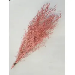 Brizonne rose pastel